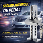 Pedal Guard